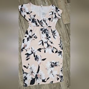 Pinkblush Maternity Dress